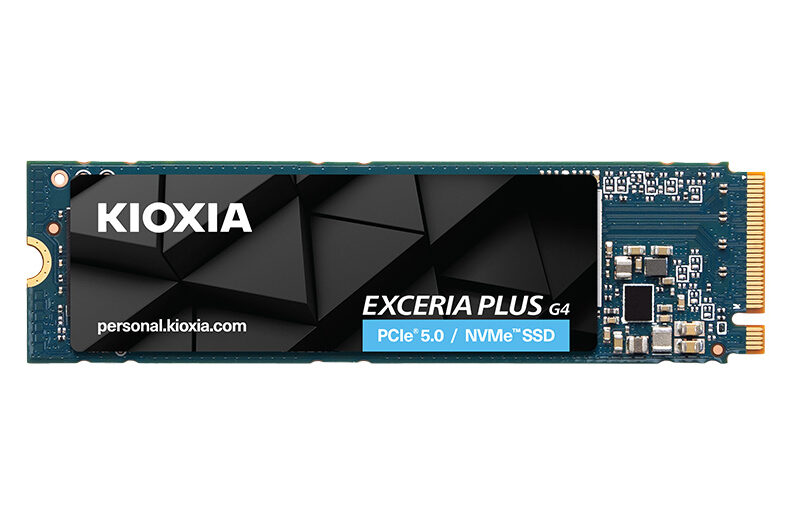 1TB KIOXIA EXCERIA PLUS G4 M.2 NVMe GEN5 10000/7900MB/s LVD10Z001TG8